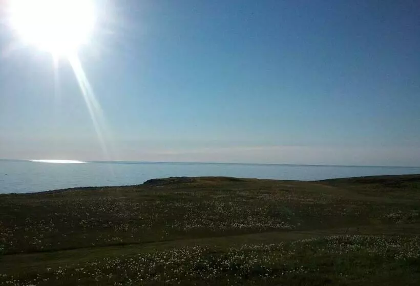 پانسیون Guesthouse Basar