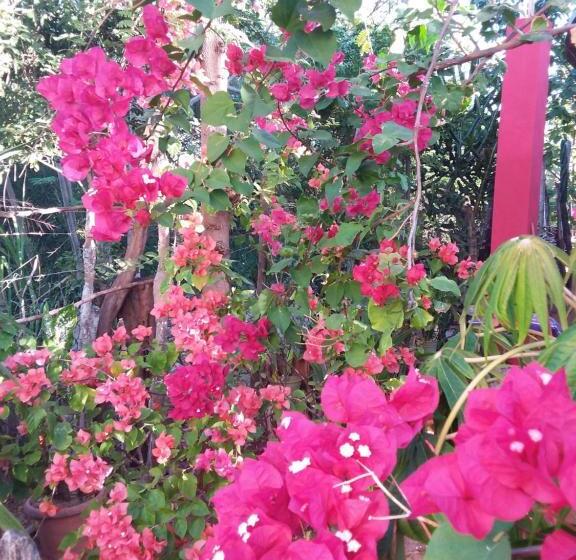 پانسیون Kudehya Guesthouse