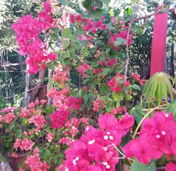 پانسیون Kudehya Guesthouse