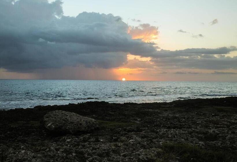 پانسیون Kudehya Guesthouse