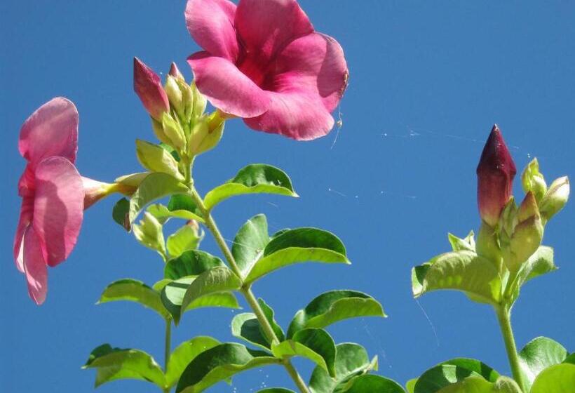 پانسیون Kudehya Guesthouse