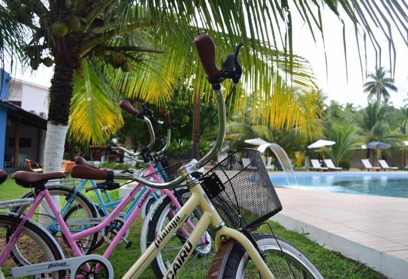 بنسيون Pousada O Casarao