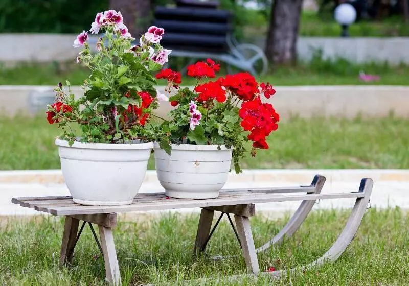 Hotelli House Zeljko