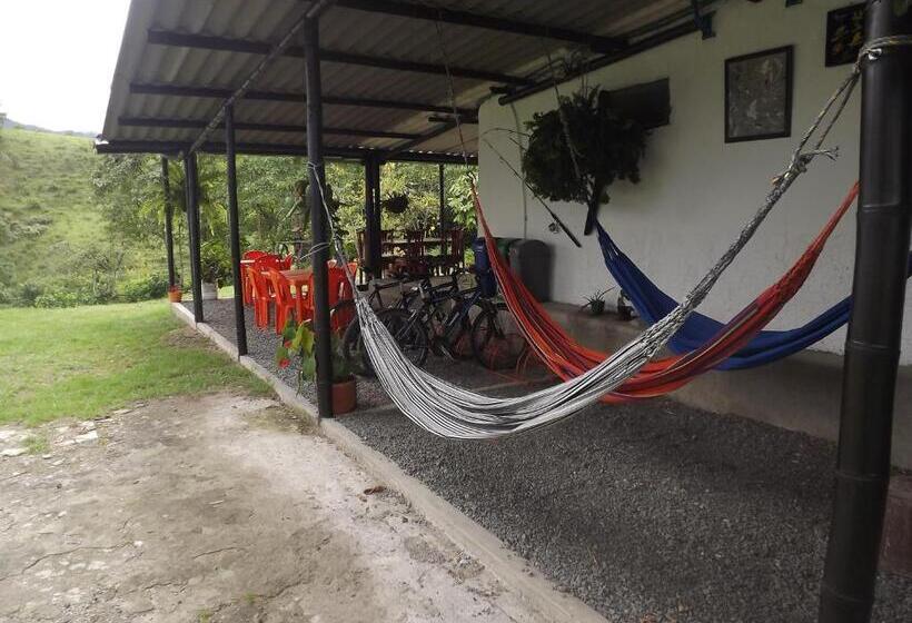 هاستل El Zorzal