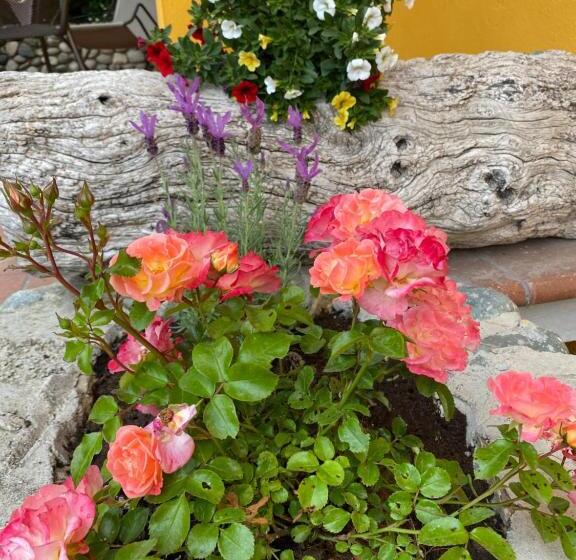 בית מלון כפרי Agriturismo Benza