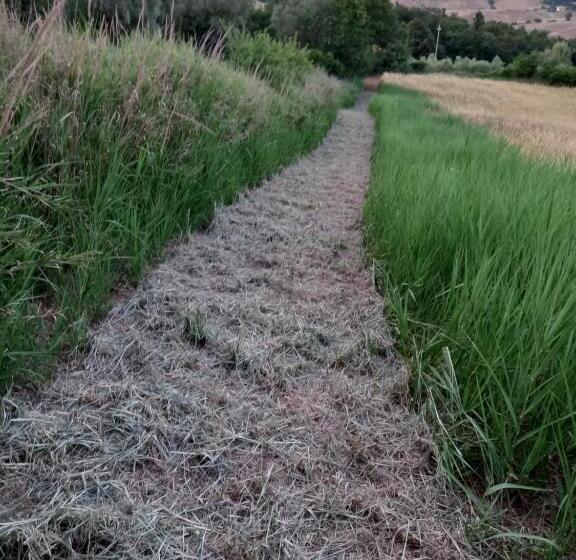 ホテル Agriturismo Poderino