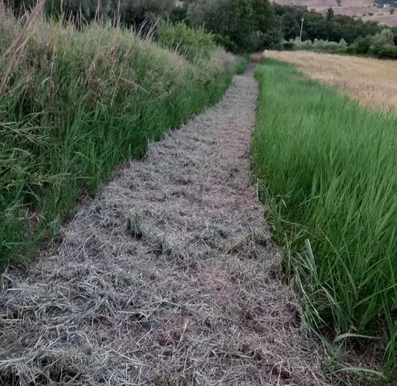 ホテル Agriturismo Poderino