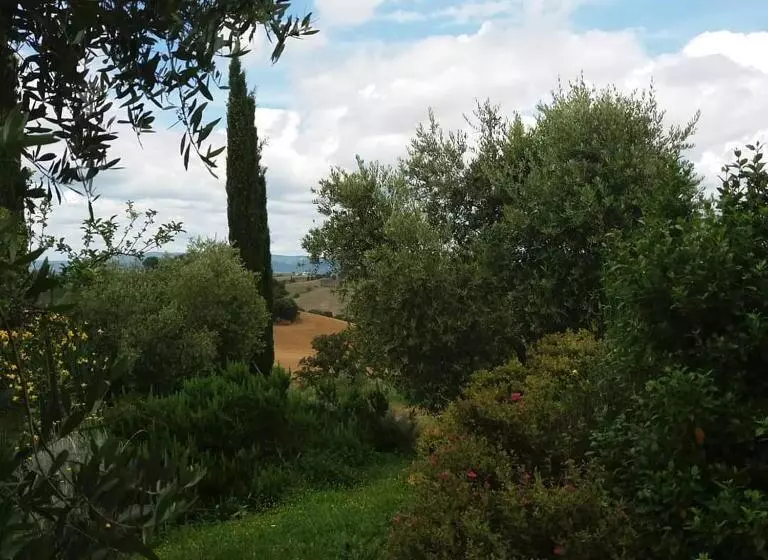 ホテル Agriturismo Poderino