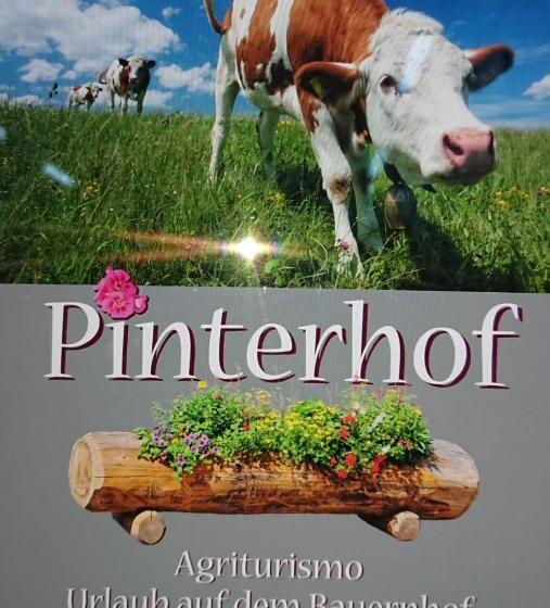 Отель Pinterhof