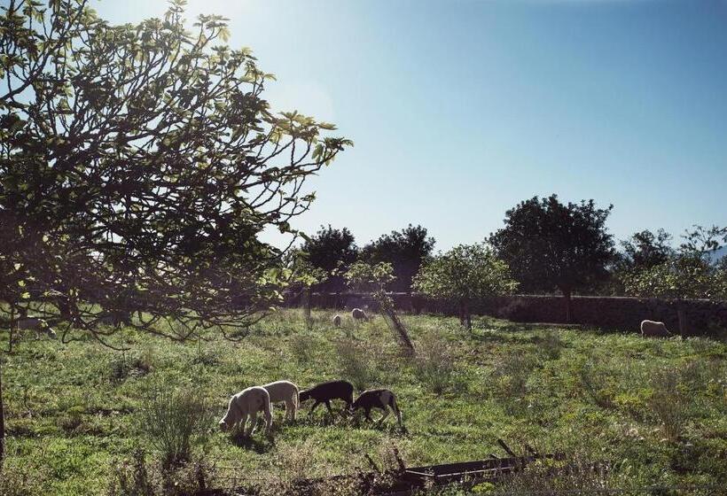 هتل S Hort Can Capità