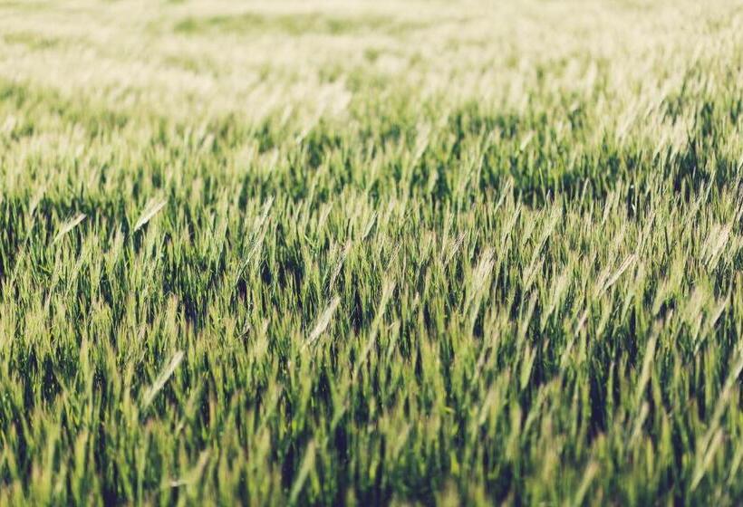 هتل S Hort Can Capità