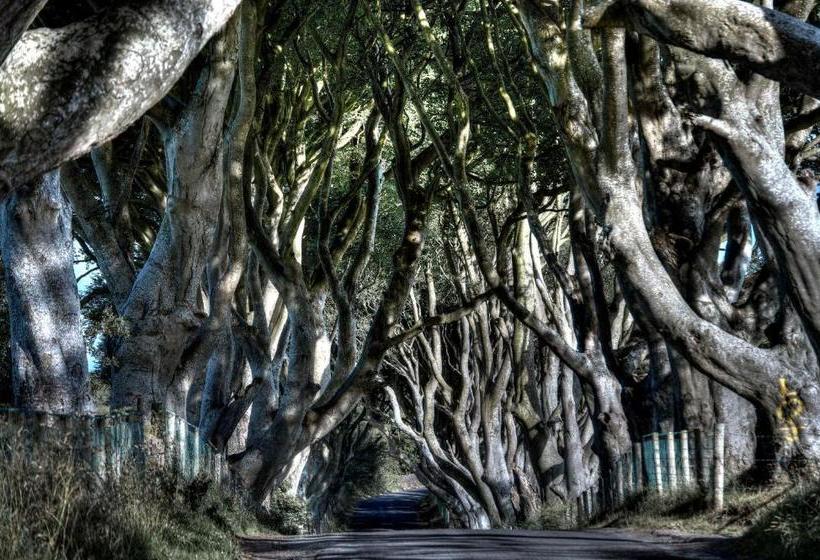 Пансион Crockatinney Guest House