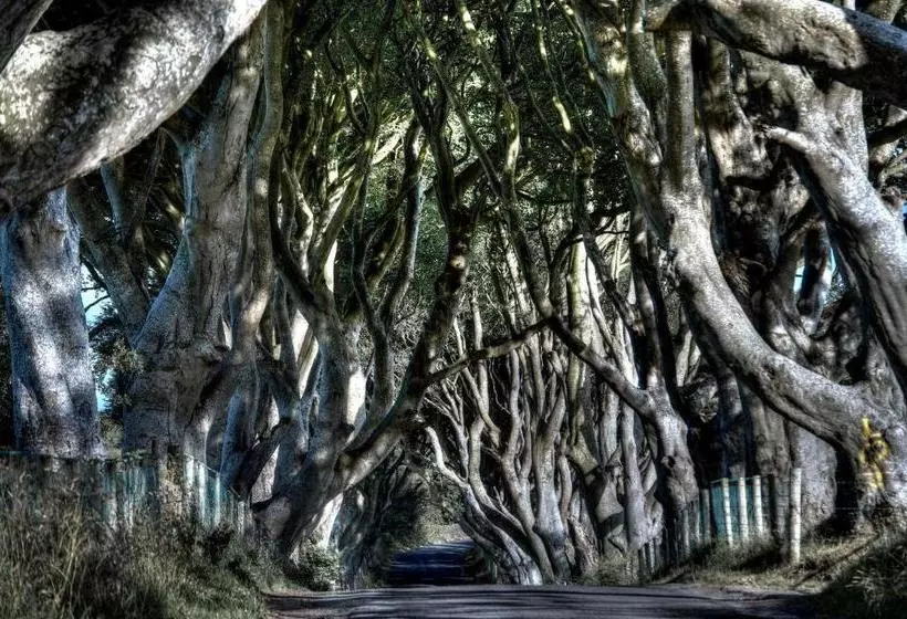 Majatalo Crockatinney Guest House