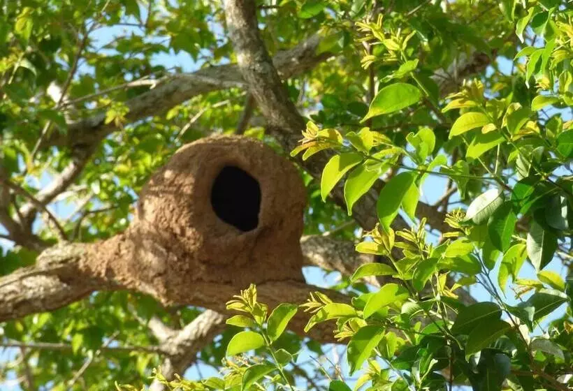 ペンション Pousada Linda Vista Socorro Sp
