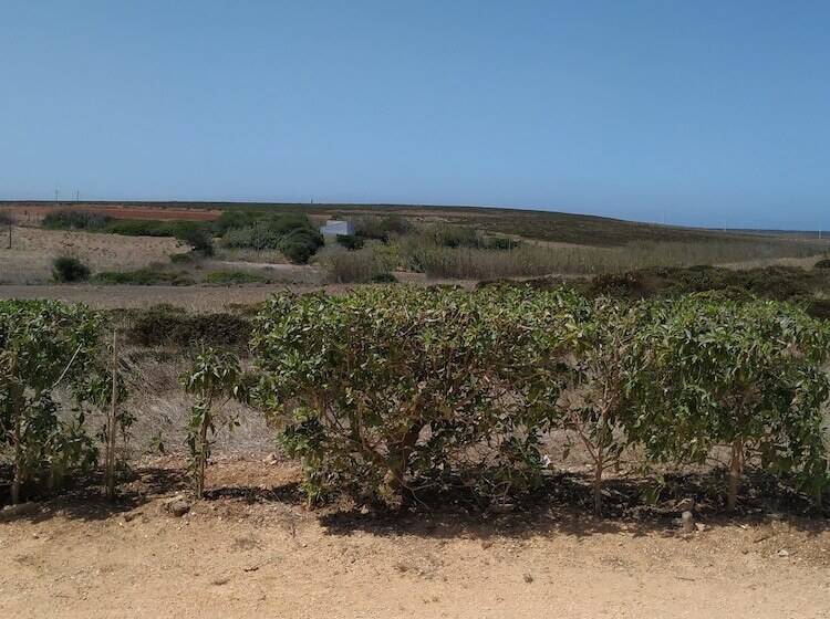 پانسیون Vivenda Familia Pedro