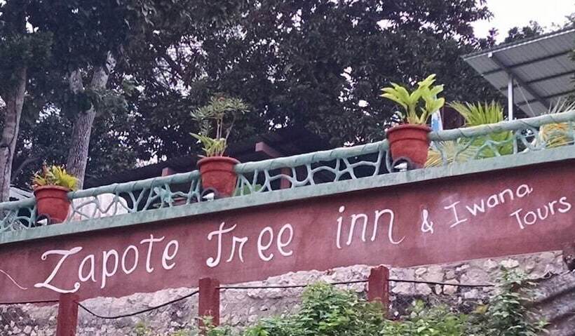 هاستل Zapote Tree Inn