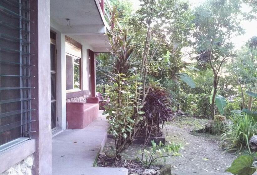 هاستل Zapote Tree Inn