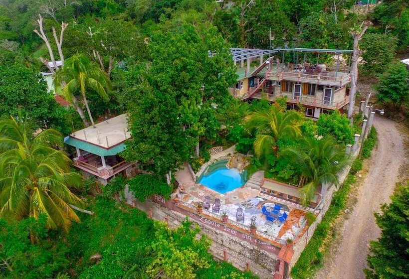 هاستل Zapote Tree Inn