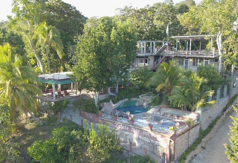 هاستل Zapote Tree Inn