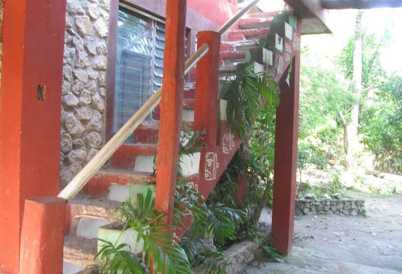 هاستل Zapote Tree Inn