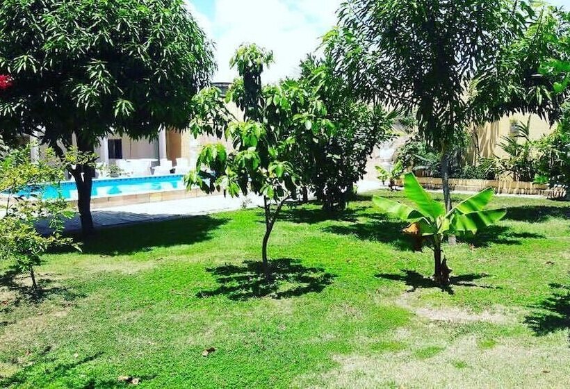 پانسیون Pousada Das Palmeiras