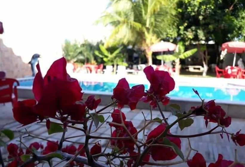 پانسیون Pousada Das Palmeiras