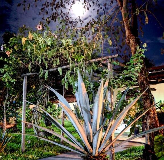 膳宿费 Pousada Do Lajes