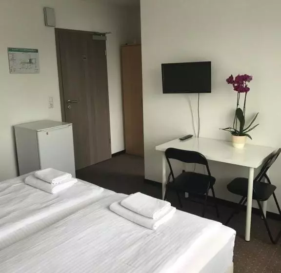 Pension Alt Heidenberg