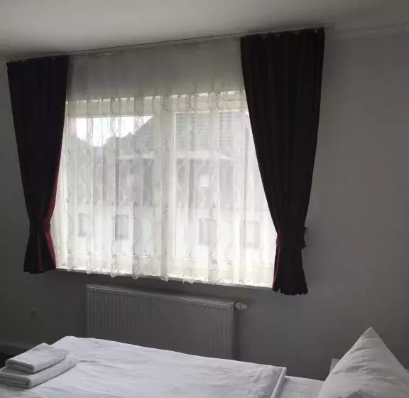 Pension Alt Heidenberg