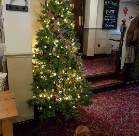 הוסטל George And Dragon Ashbourne