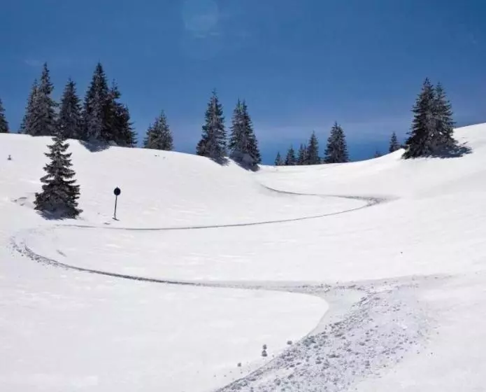 پانسیون Apartments Suncani Vrhovi Kopaonik