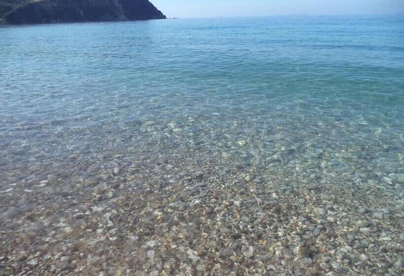 پانسیون Guest House Solive