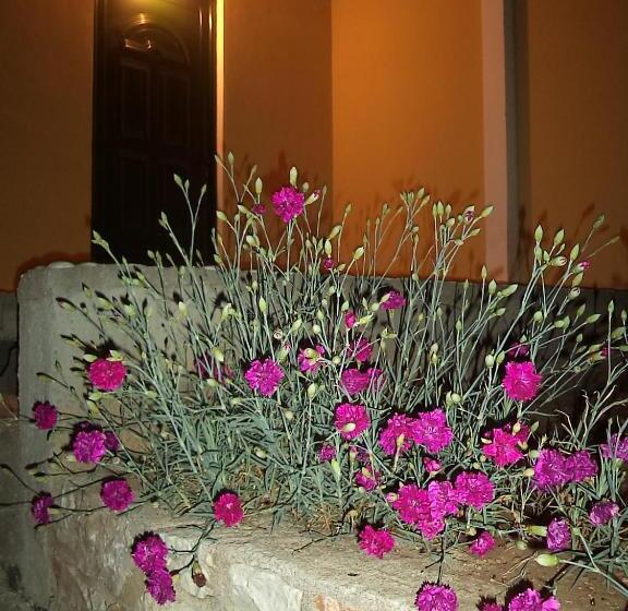 پانسیون Guest House Solive