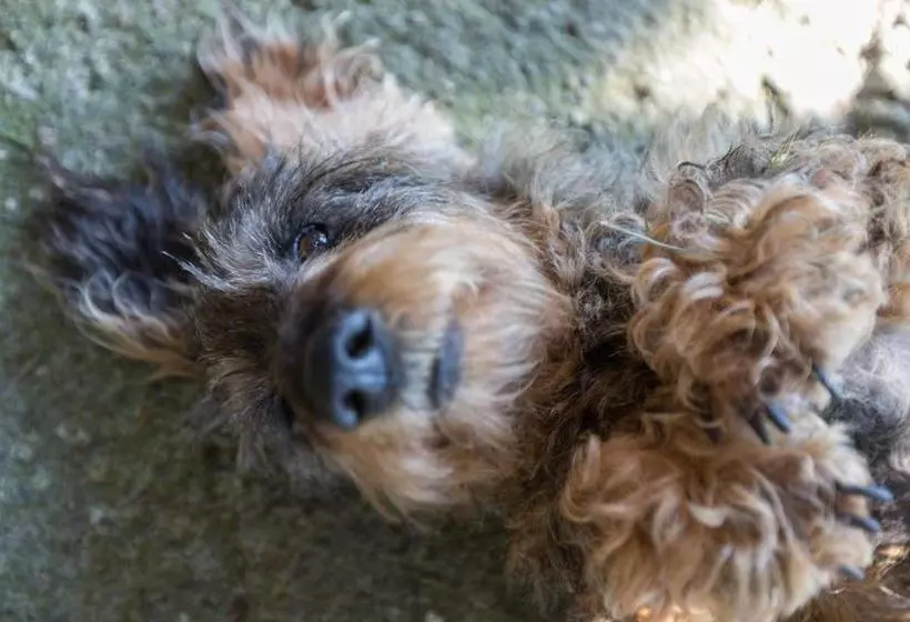 Hotelli Agriturismo Casa Caponetti