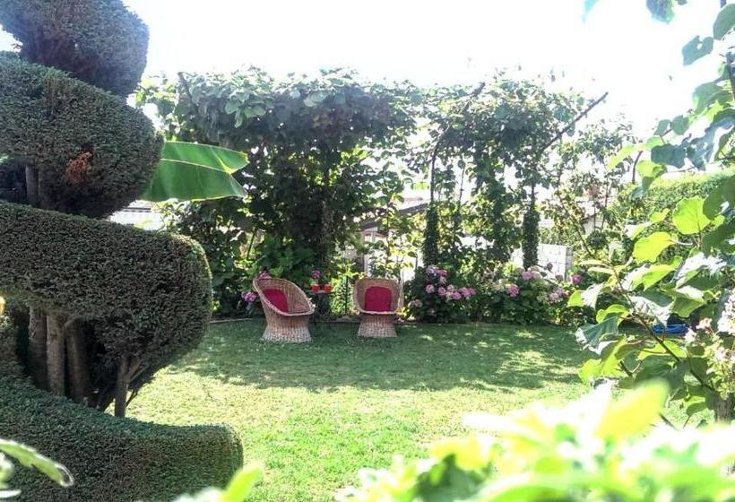 پانسیون Vila Siva