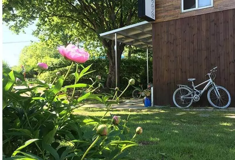 پانسیون Chuncheon Segroo Guest House