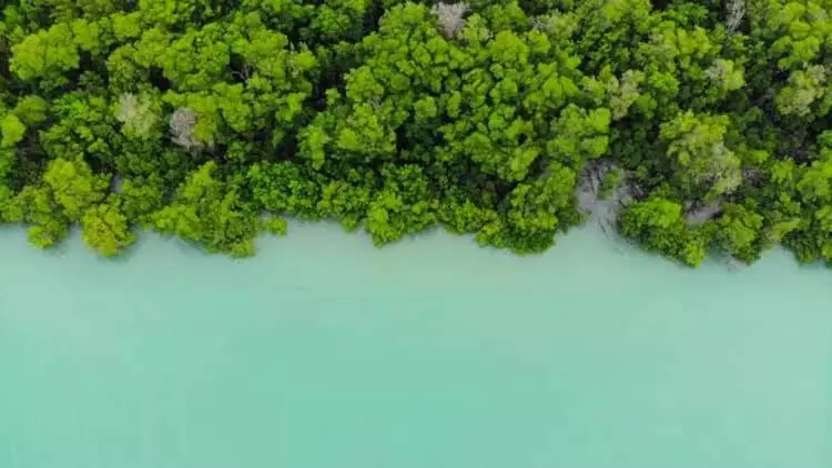 ペンション Pousada Lagunas