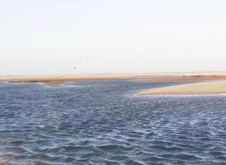 ペンション Pousada Lagunas