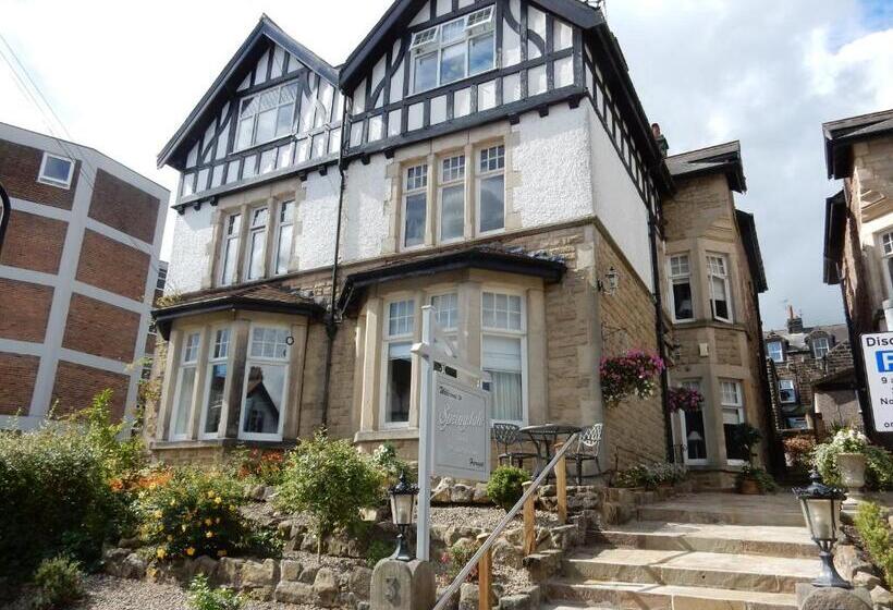 پانسیون Springdale Guest House