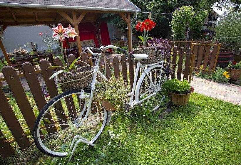 Пансион Szabó Vendégház