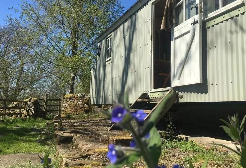ホテル Posh Huts Farmstay