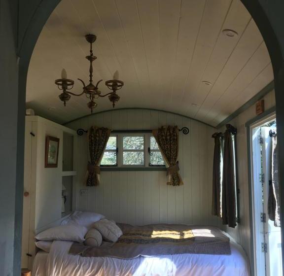 ホテル Posh Huts Farmstay