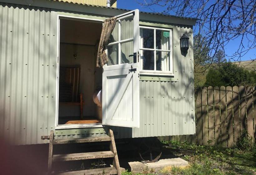 ホテル Posh Huts Farmstay