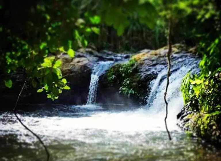 ペンション Camping E Pousada Paiol