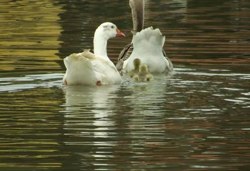 ペンション Camping E Pousada Paiol