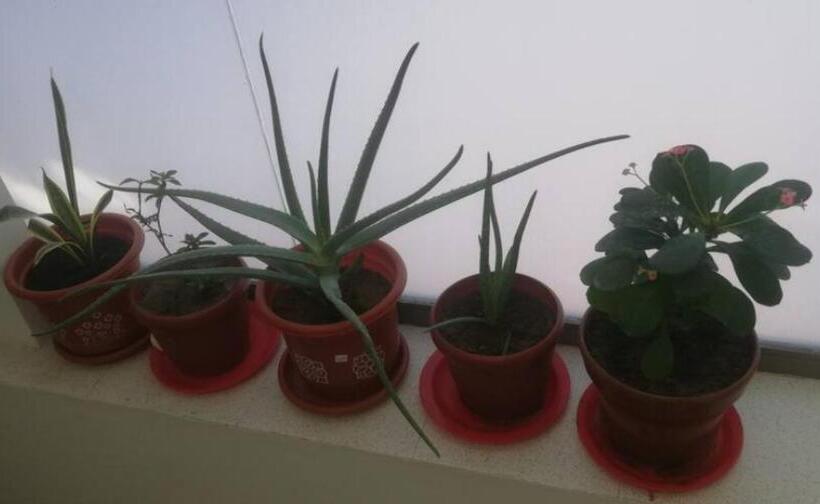 پانسیون Hostal El Recreo