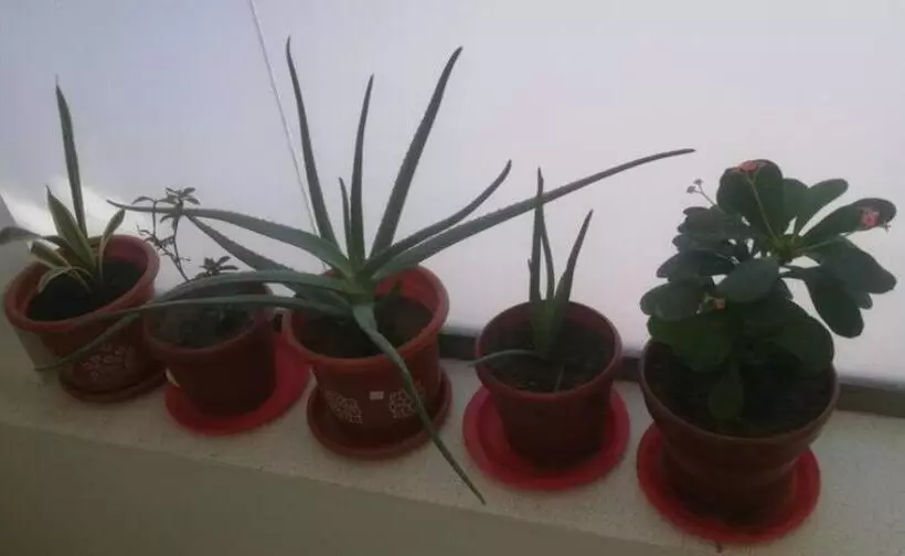 پانسیون Hostal El Recreo