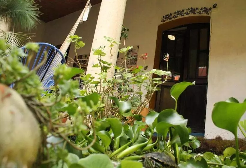 پانسیون Hostal Luz De Luna Nuyoo