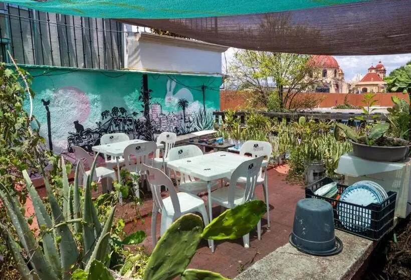 پانسیون Hostal Luz De Luna Nuyoo