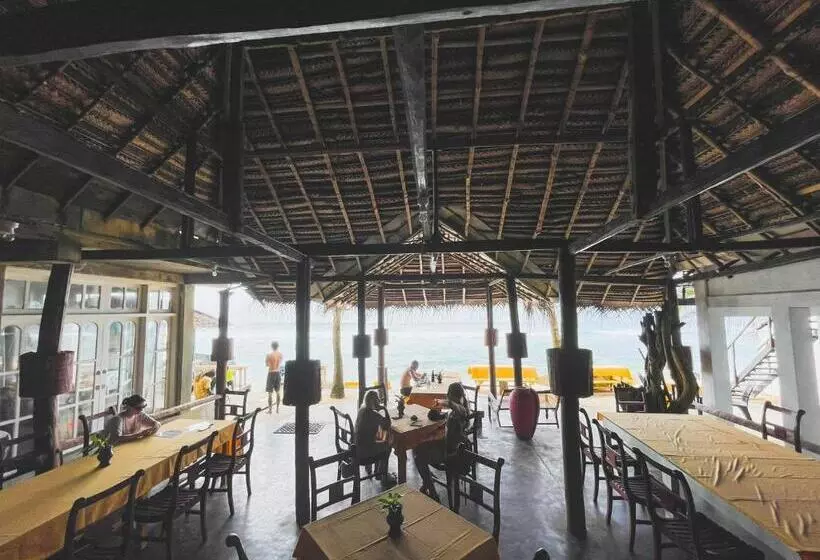 ペンション Why Not Guest House